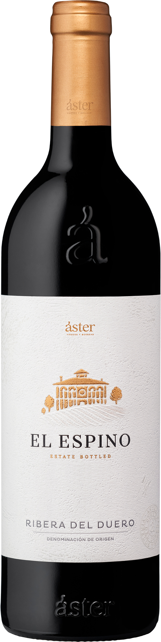 Áster El Espino