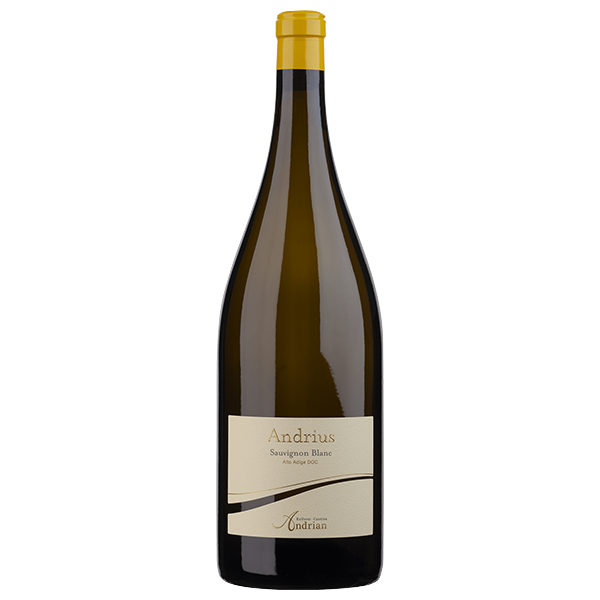 Cantina Andrian Andrius Sauvignon Blanc DOC Magnum - 2023