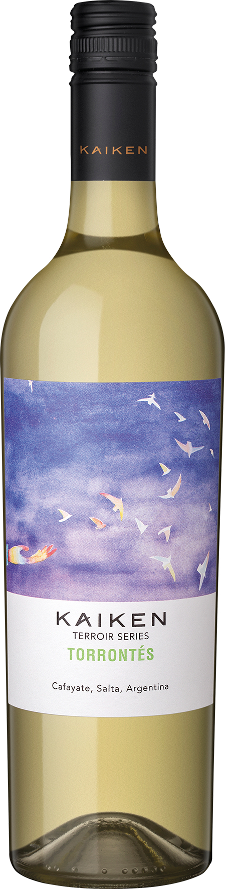 Terroir Torrontes