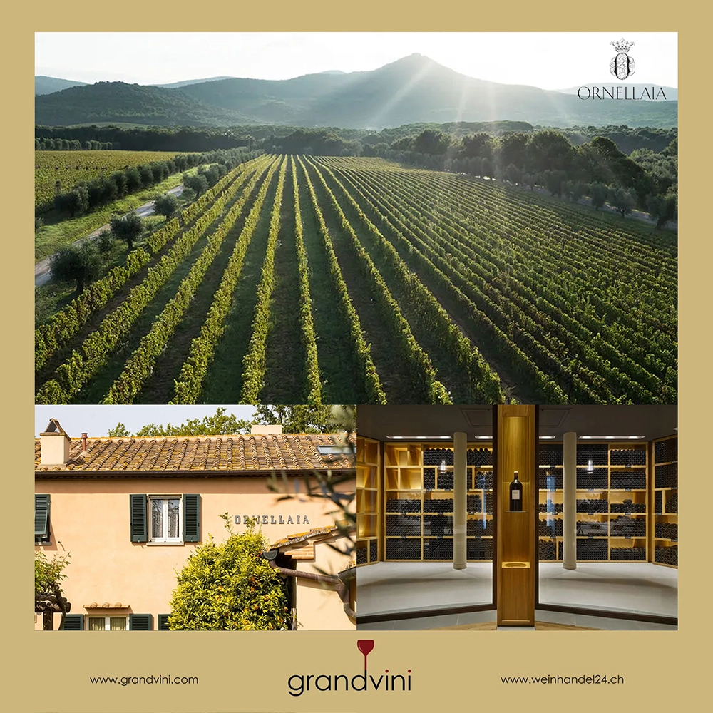 Tenuta Dell'Ornellaia Weinhandel24.ch Magazine