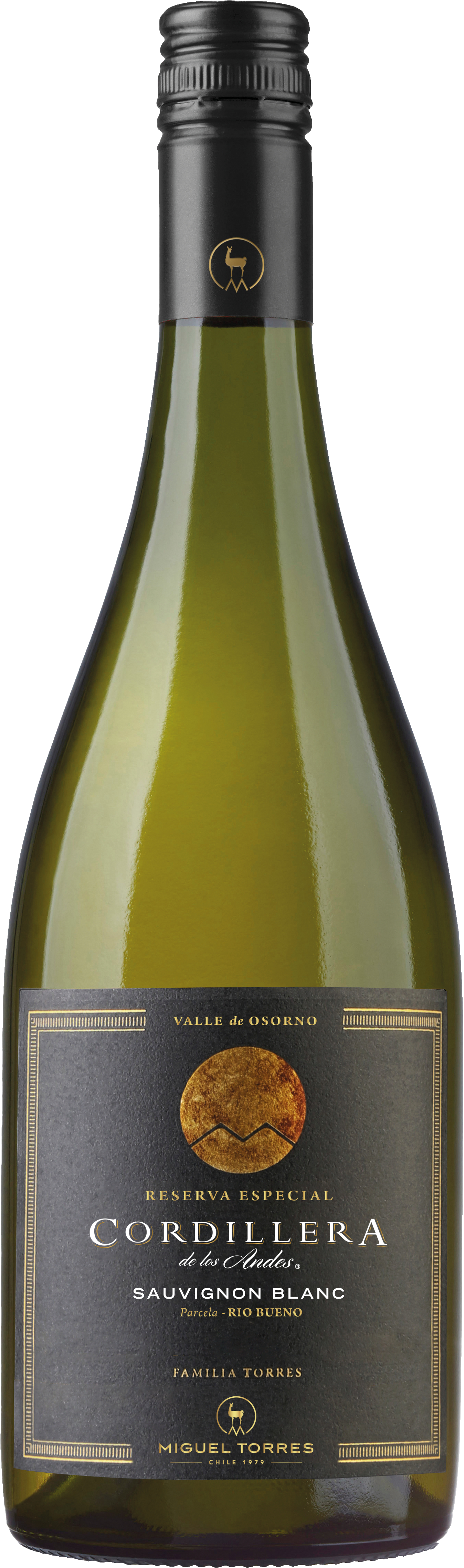 Cordillera Sauvignon Blanc Elqui Valley