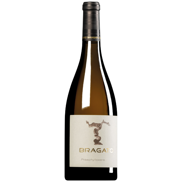 “Praephylloxera” Friulano Colli Orientali del Friuli DOC